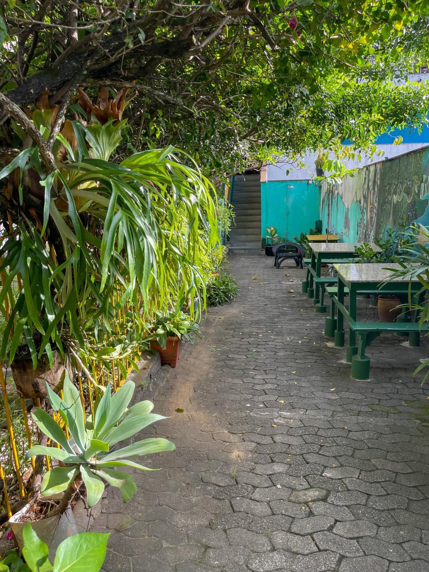 Onca Da Praia Hostel فيتوريا المظهر الخارجي الصورة